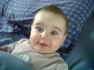 IMG00204-20130529-0817