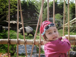 "On va voir les pandas ?"