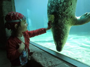 Encore un grand copain de Poupette