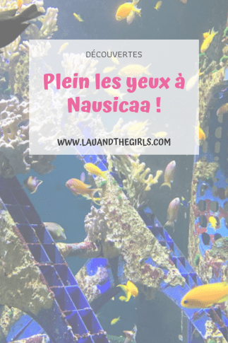 Wal &amp; Joe Weddings